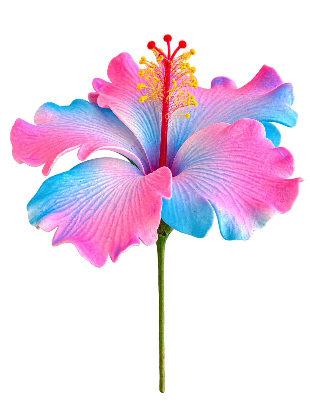 Pink/Blue Hibiscus Sei - 4.5" (Earpiece)