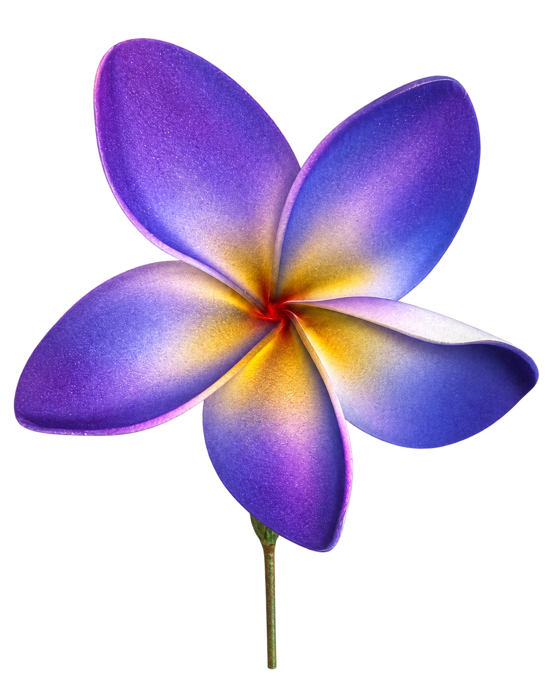 Purple/Yellow Plumeria Sei - 4" (Earpiece)
