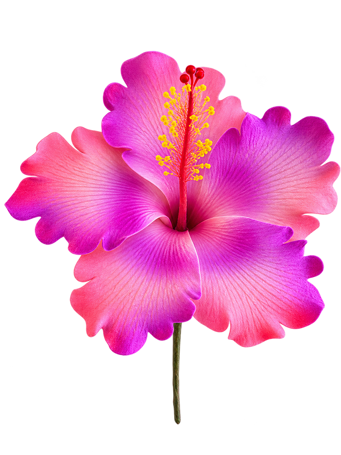 Purple/Pink Hibiscus Sei - 4.5" (Earpiece)