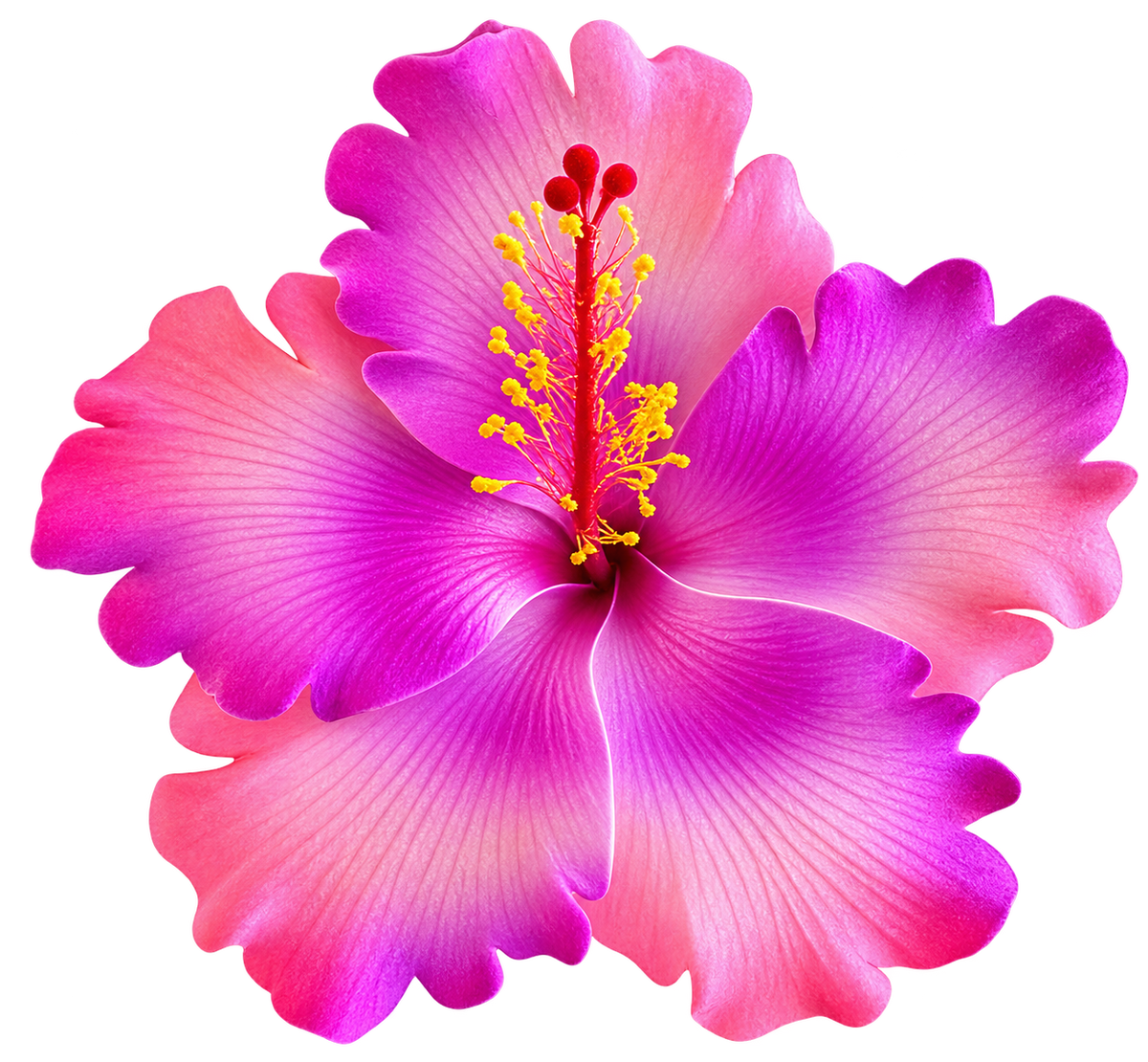 Purple/Pink Hibiscus Sei - 4.5" (Earpiece)