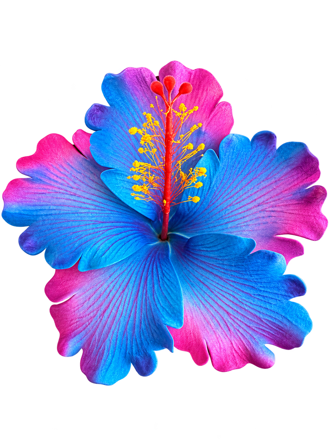 Blue/Purple Hibiscus Sei - 4.5" (Earpiece)